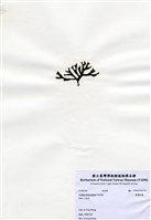 藏品(臺灣松藻)的圖片